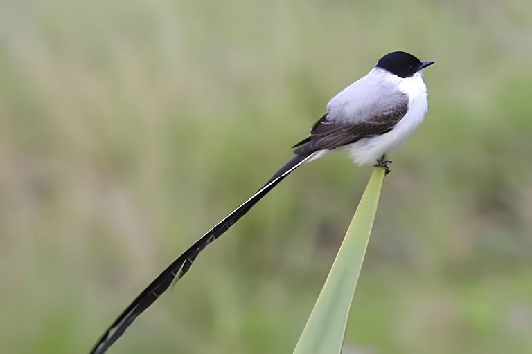 Cabin on the Shores of Lake Nature and Fun