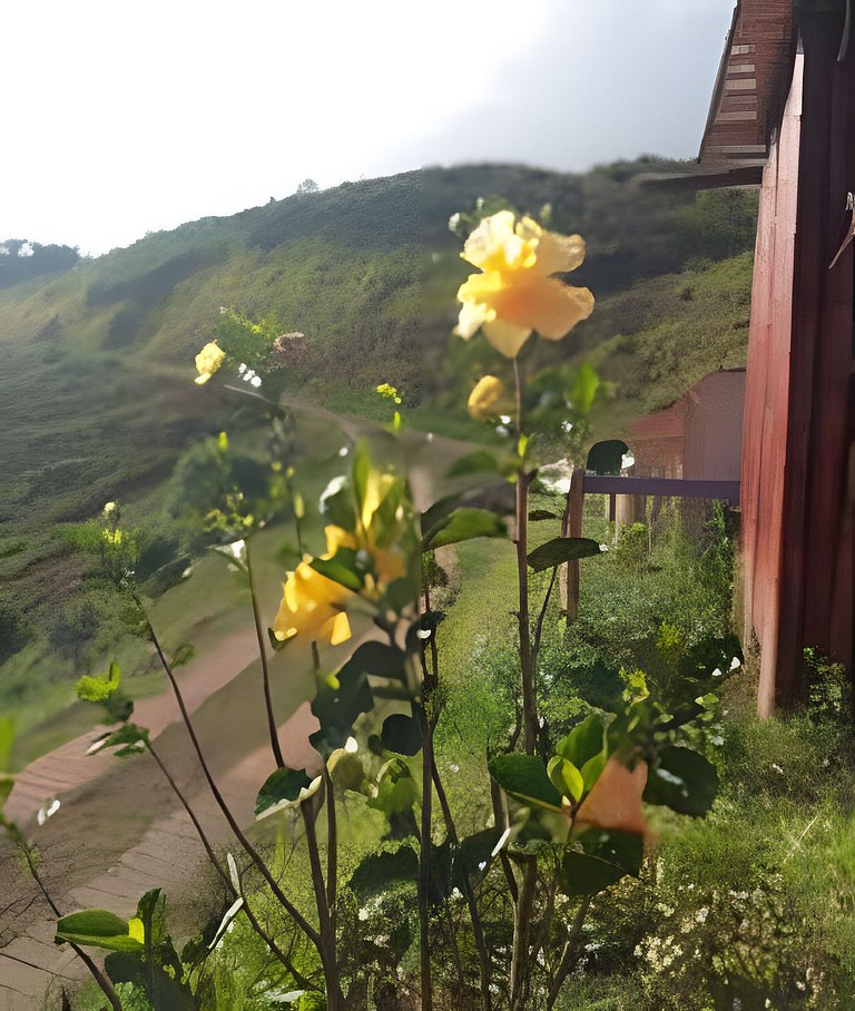 Cabin on the Shores of Lake Nature and Fun
