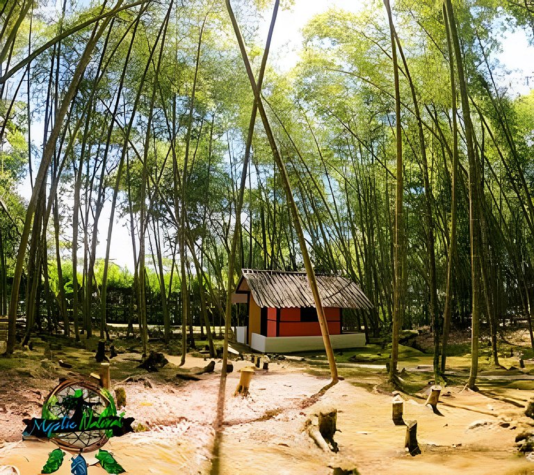 Cabaña Íntima para Parejas en Mystic Natural