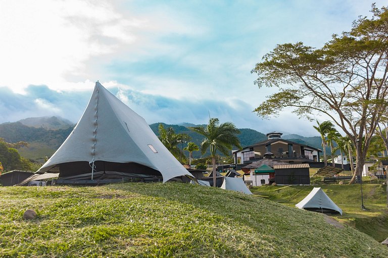 Carpa Elite - Mystic Paradise Grupos