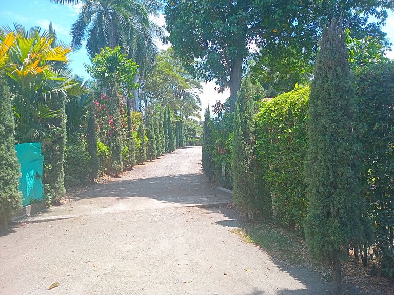 Country House in Nature, Culture, and Pool