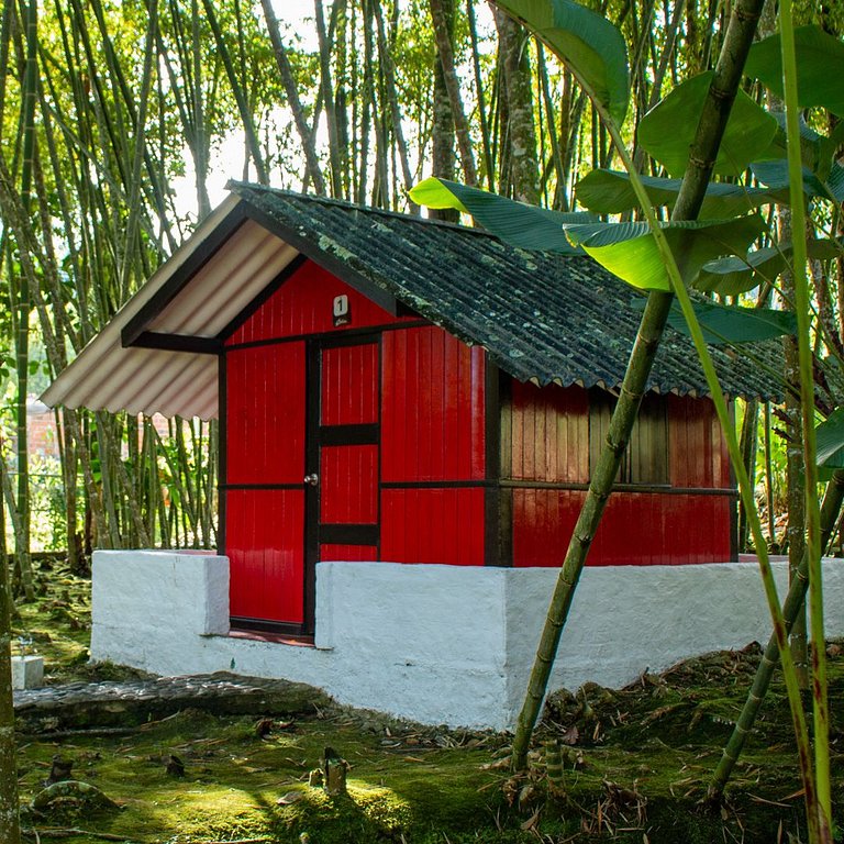 Cabaña Íntima para Parejas en Mystic Natural