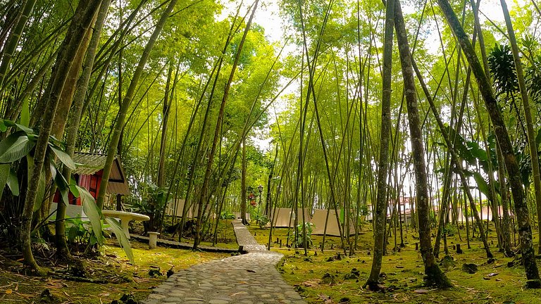 Desconéctate y Relájate,Camping de Lujo en el Lago