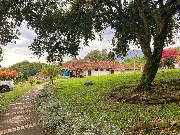 Feel the Magic of the Valley: Book Now!
