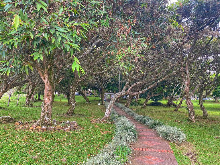 Escape to Paradise: Your Adventure Awaits