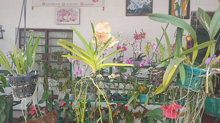 **Yeferson’s Hostel**