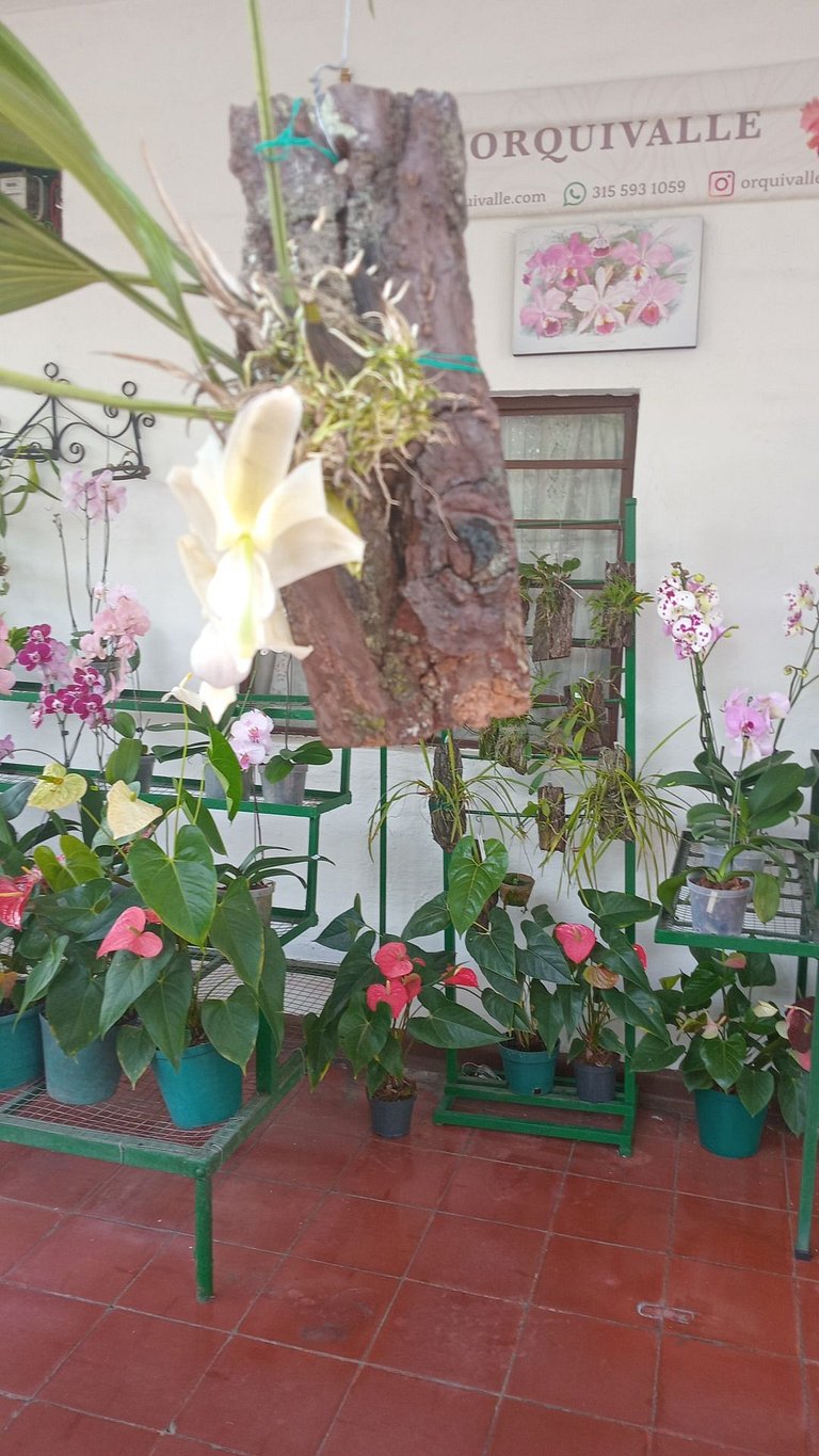 Hostal de Yeferson