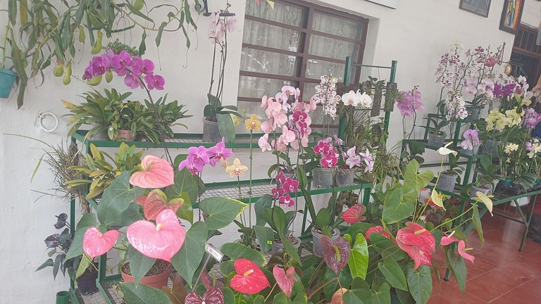 Hostal Jefferson
