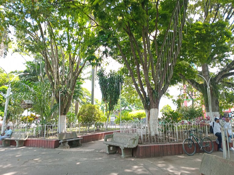 Family Cabins Zamora