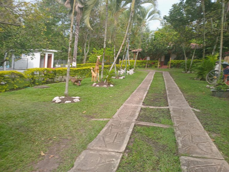 Family Cabins Zamora