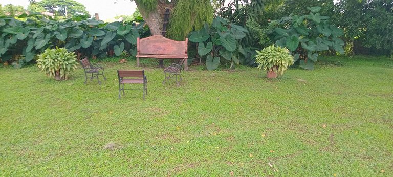 Standard room: comfort and natural surroundings