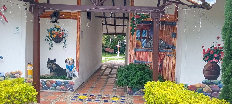 Habitacion Estandar Confort y Naturaleza