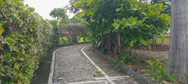 Descanso Perfecto en El Edén