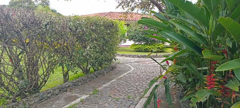 Standard room: comfort and natural surroundings