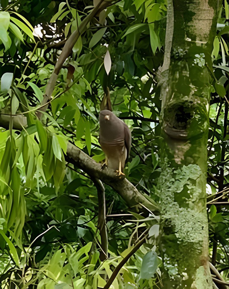 Cabaña Naturaleza, a 10 min de Cali