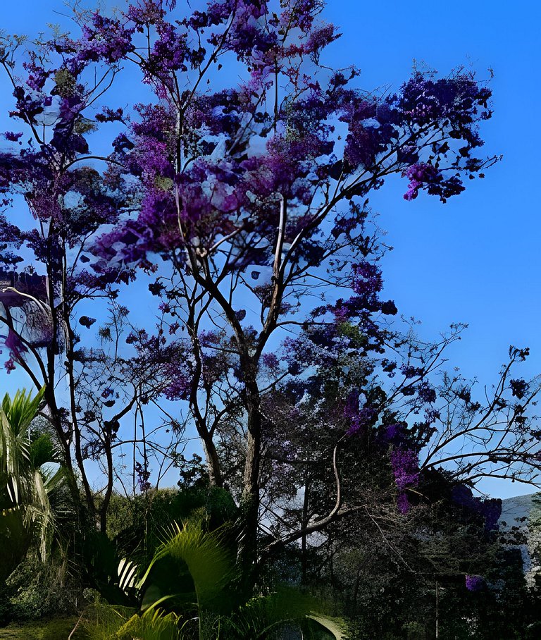Cabaña Naturaleza, a 10 min de Cali